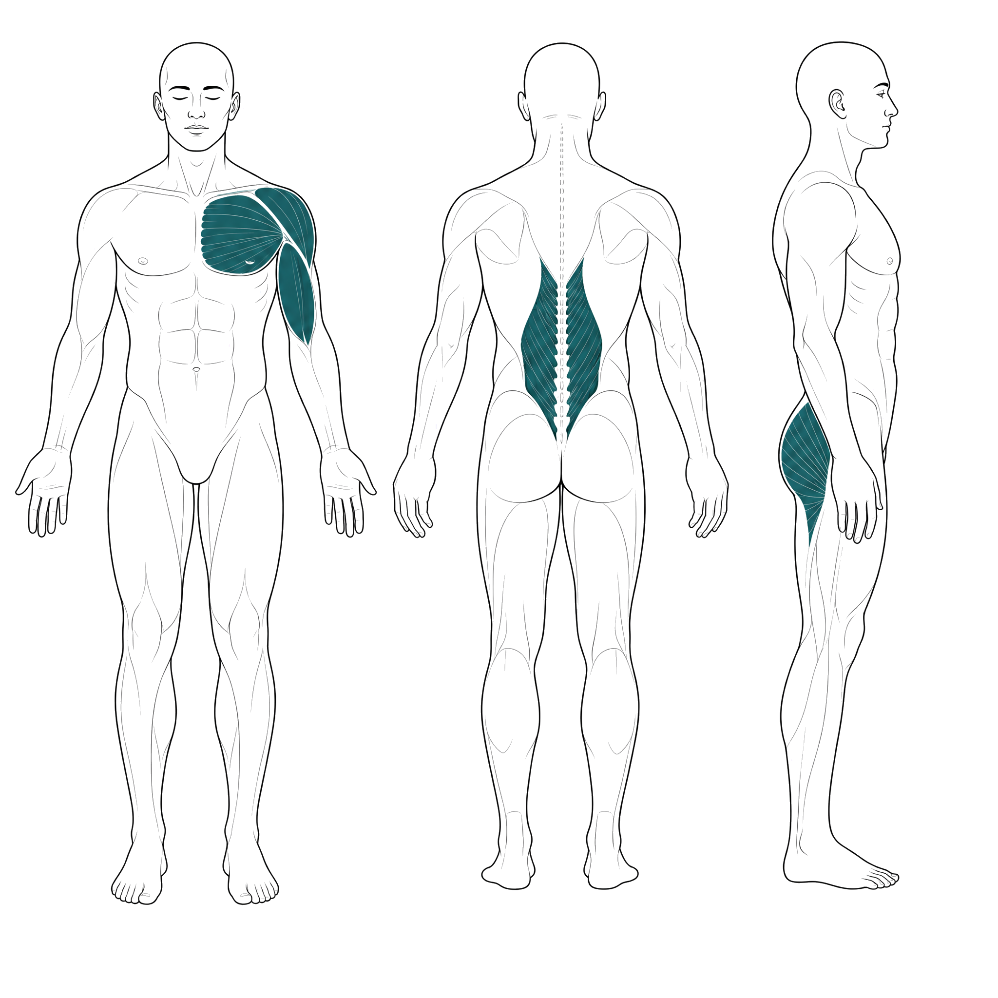 The 3 session series